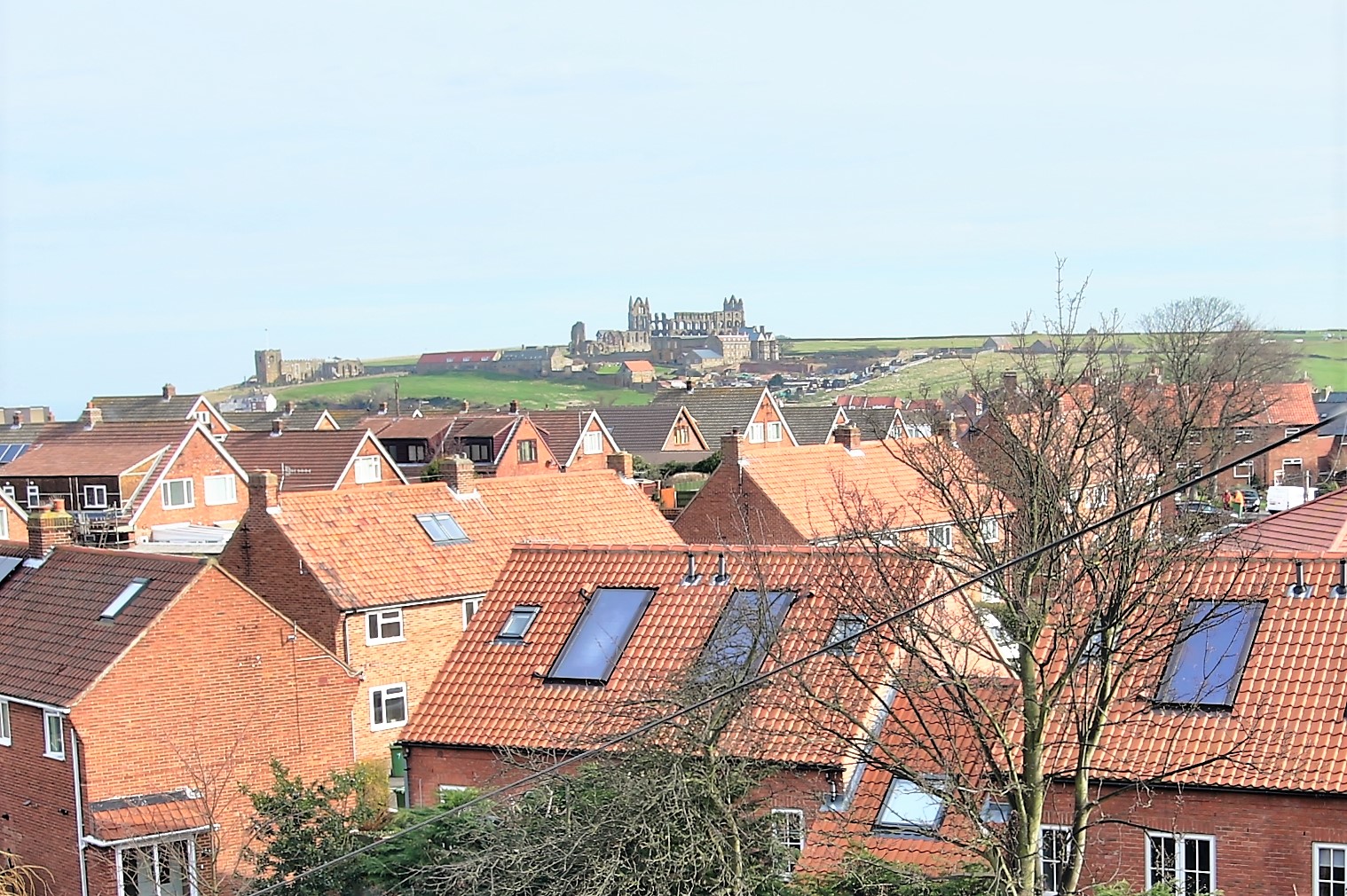 Properties To Rent Whitby Pets Allowed Properties To Rent Whitby Pets Allowed