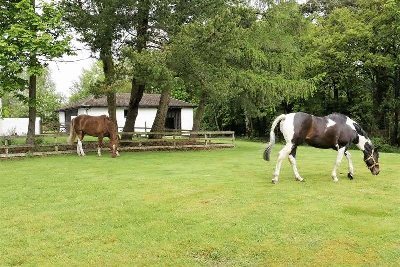 5 bedroom detached house for sale, Rowandale, Newington Lane, Glen Road