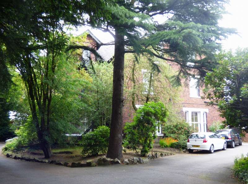 Shop Property To Rent Marple Shop Property To Rent Marple
