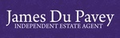 James Du Pavey - Stone